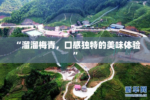 “溜溜梅青，口感独特的美味体验”