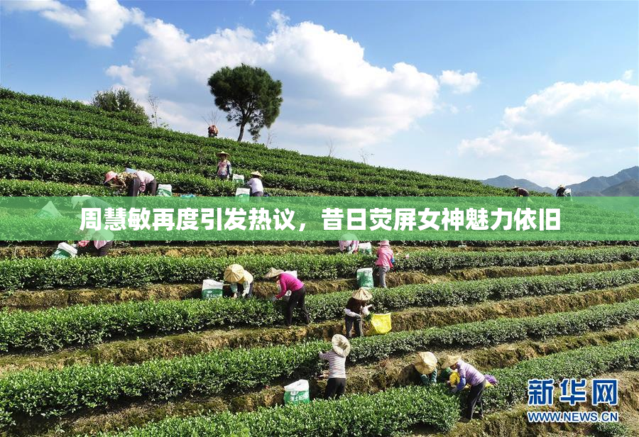 周慧敏再度引发热议，昔日荧屏女神魅力依旧
