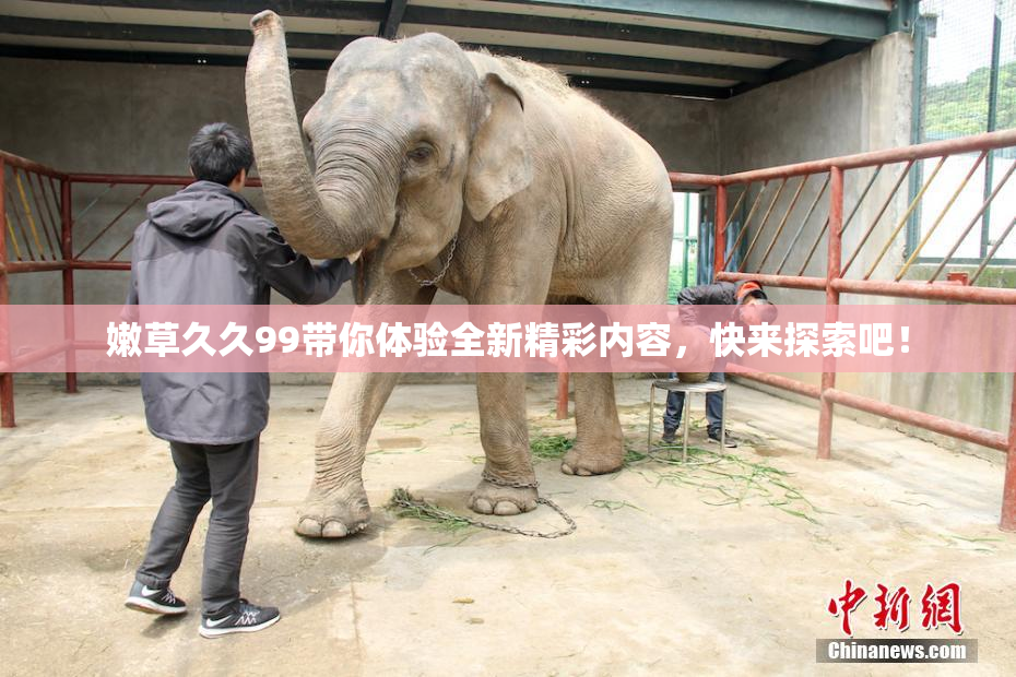嫩草久久99带你体验全新精彩内容，快来探索吧！