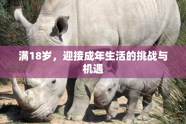 满18岁，迎接成年生活的挑战与机遇