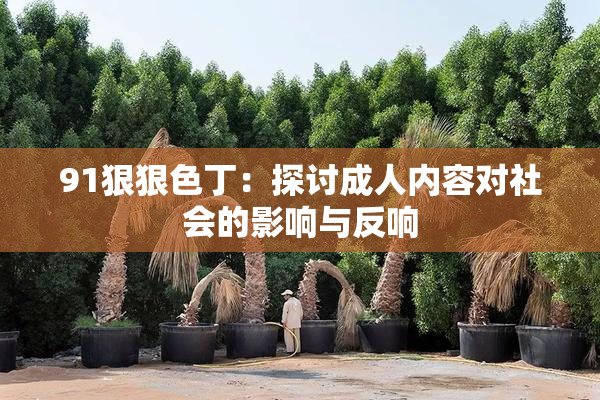 91狠狠色丁：探讨成人内容对社会的影响与反响