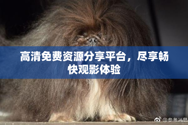 高清免费资源分享平台，尽享畅快观影体验