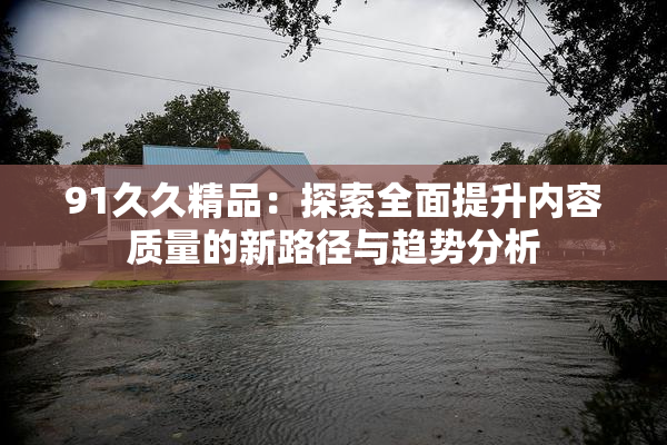 91久久精品：探索全面提升内容质量的新路径与趋势分析