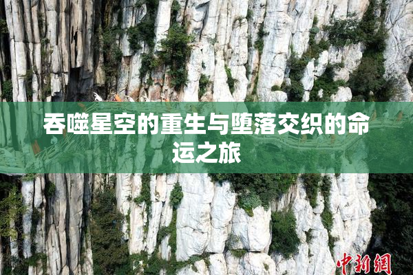 吞噬星空的重生与堕落交织的命运之旅