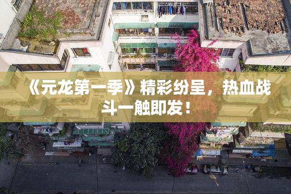 《元龙第一季》精彩纷呈，热血战斗一触即发！