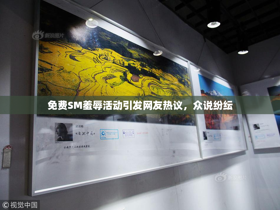 免费SM羞辱活动引发网友热议，众说纷纭