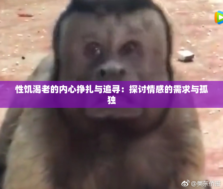 性饥渴老的内心挣扎与追寻：探讨情感的需求与孤独