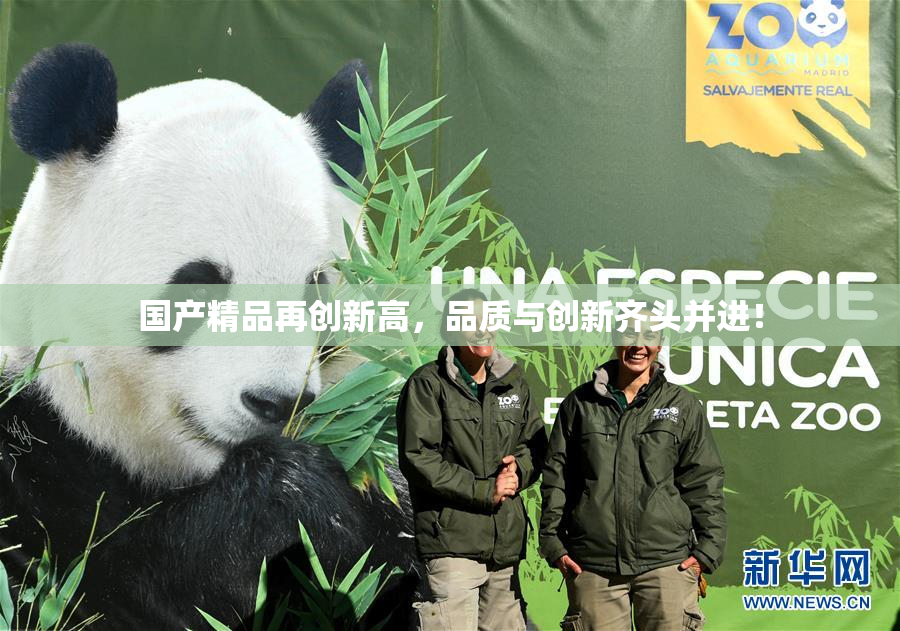 国产精品再创新高，品质与创新齐头并进！
