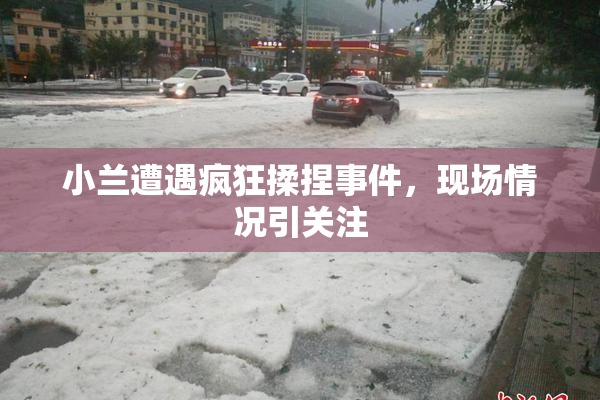 小兰遭遇疯狂揉捏事件，现场情况引关注
