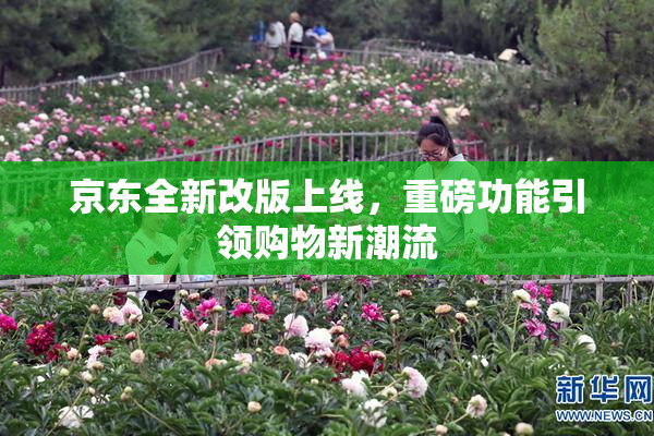 京东全新改版上线，重磅功能引领购物新潮流