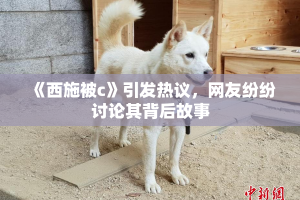 《西施被c》引发热议，网友纷纷讨论其背后故事