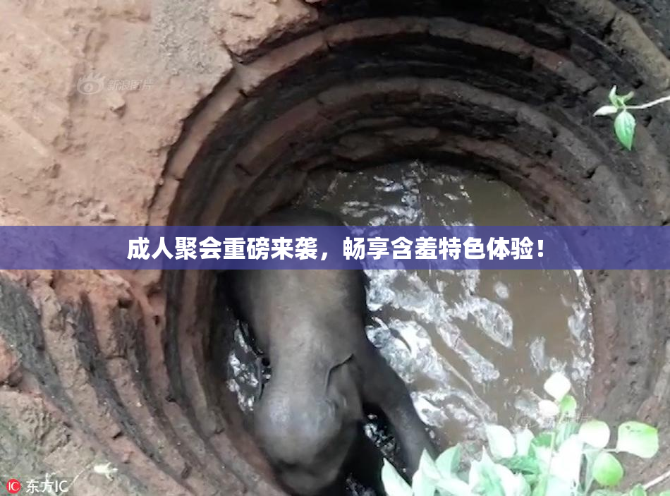 成人聚会重磅来袭，畅享含羞特色体验！