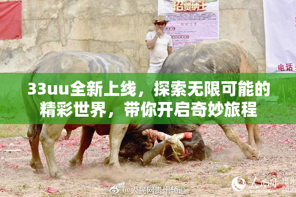 33uu全新上线，探索无限可能的精彩世界，带你开启奇妙旅程