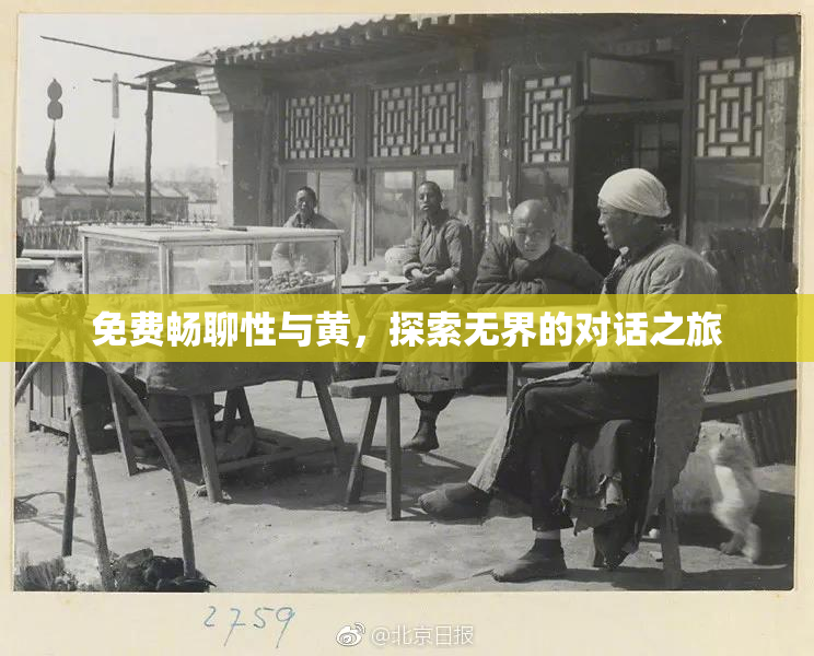 免费畅聊性与黄，探索无界的对话之旅