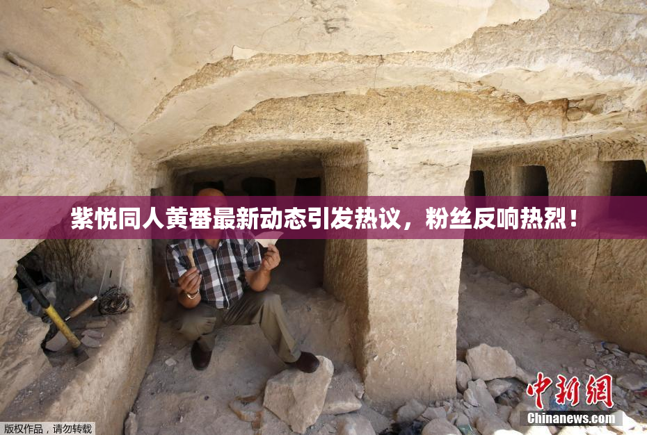 紫悦同人黄番最新动态引发热议，粉丝反响热烈！