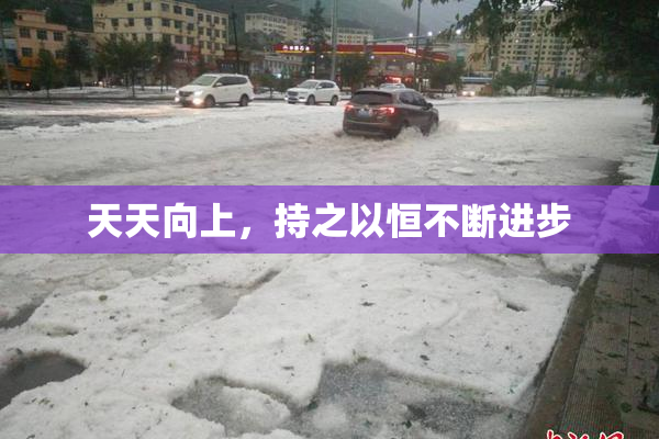 天天向上，持之以恒不断进步