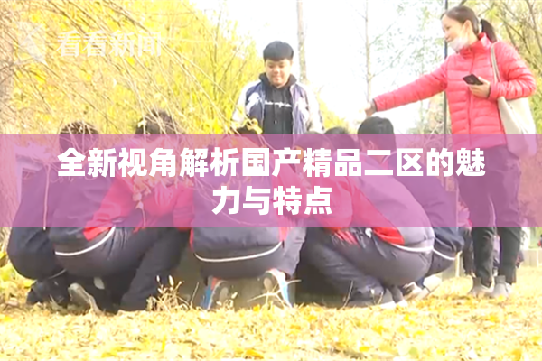 全新视角解析国产精品二区的魅力与特点