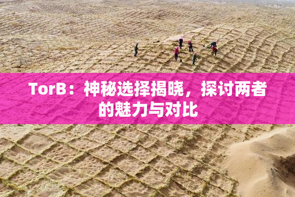 TorB：神秘选择揭晓，探讨两者的魅力与对比
