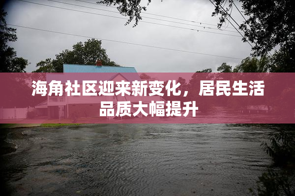 海角社区迎来新变化，居民生活品质大幅提升