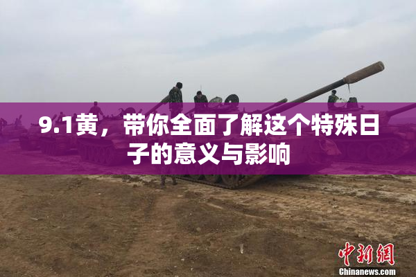 9.1黄，带你全面了解这个特殊日子的意义与影响