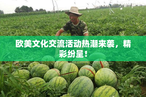 欧美文化交流活动热潮来袭，精彩纷呈！