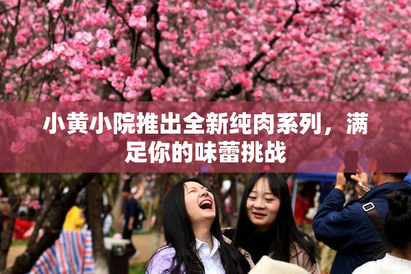 小黄小院推出全新纯肉系列，满足你的味蕾挑战