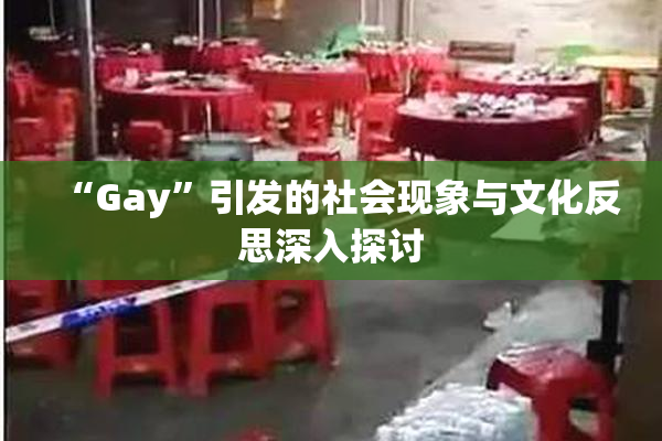 “Gay”引发的社会现象与文化反思深入探讨