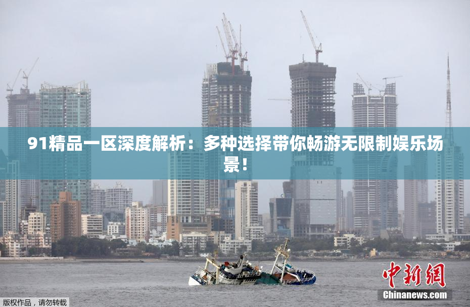 91精品一区深度解析：多种选择带你畅游无限制娱乐场景！