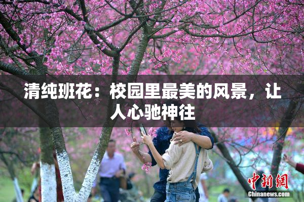 清纯班花：校园里最美的风景，让人心驰神往