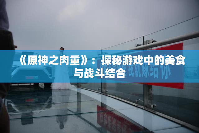 《原神之肉重》：探秘游戏中的美食与战斗结合