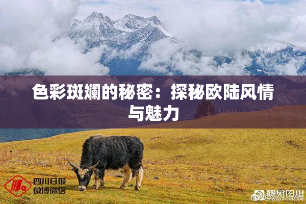 色彩斑斓的秘密：探秘欧陆风情与魅力