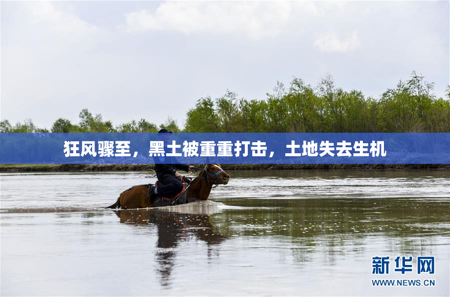 狂风骤至，黑土被重重打击，土地失去生机