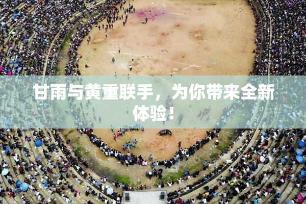 甘雨与黄重联手，为你带来全新体验！