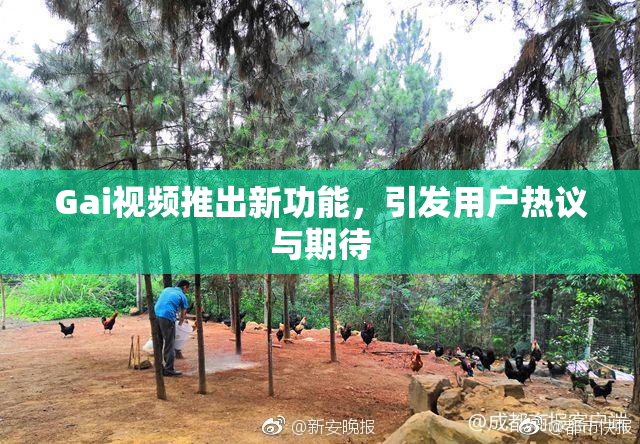 Gai视频推出新功能，引发用户热议与期待