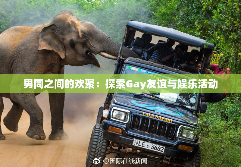 男同之间的欢聚：探索Gay友谊与娱乐活动