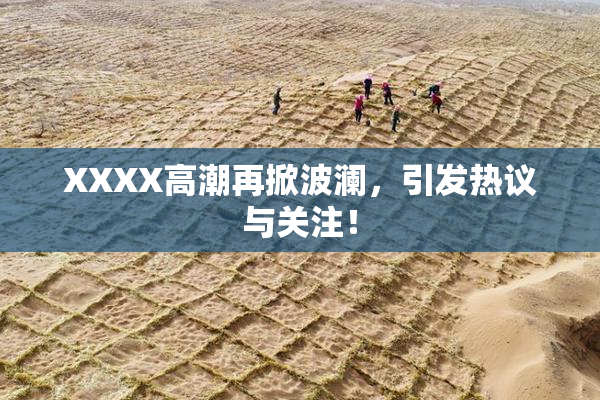 XXXX高潮再掀波澜，引发热议与关注！