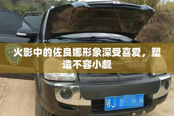 火影中的佐良娜形象深受喜爱，塑造不容小觑