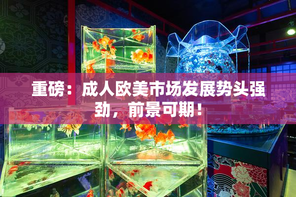 重磅：成人欧美市场发展势头强劲，前景可期！