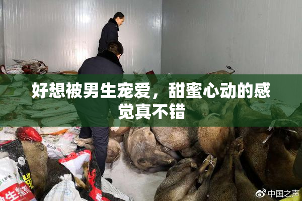好想被男生宠爱，甜蜜心动的感觉真不错