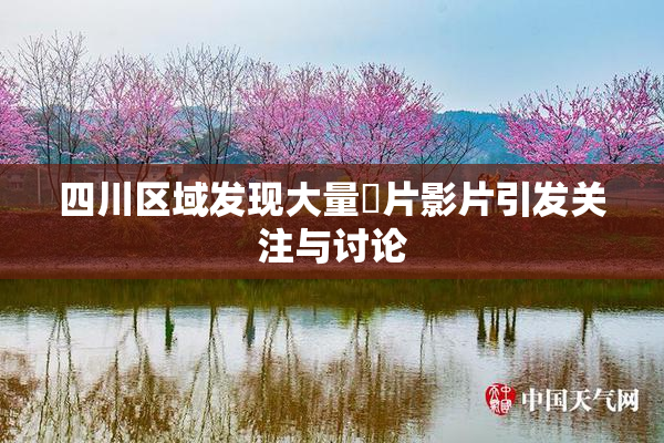 四川区域发现大量婬片影片引发关注与讨论