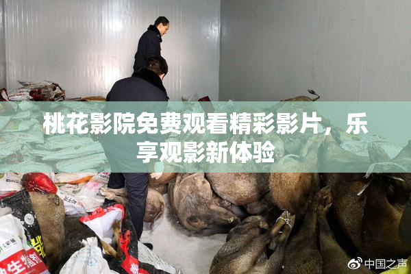 桃花影院免费观看精彩影片，乐享观影新体验