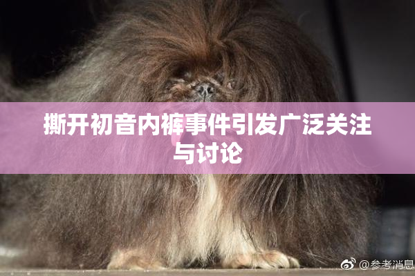 撕开初音内裤事件引发广泛关注与讨论