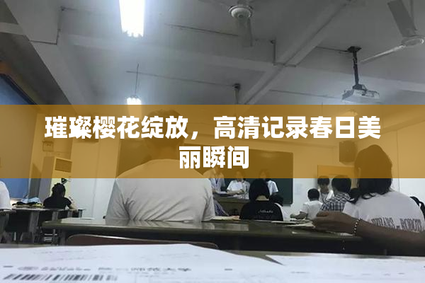 璀璨樱花绽放，高清记录春日美丽瞬间