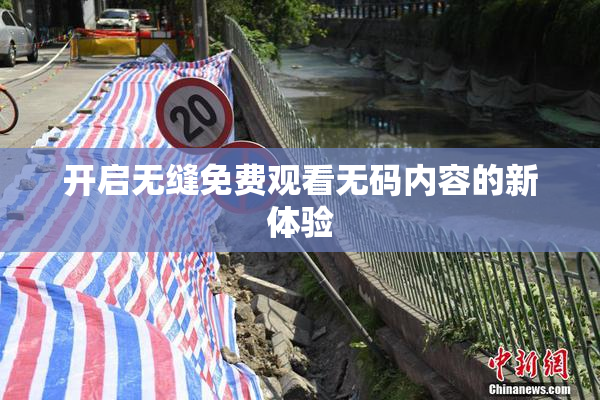 开启无缝免费观看无码内容的新体验