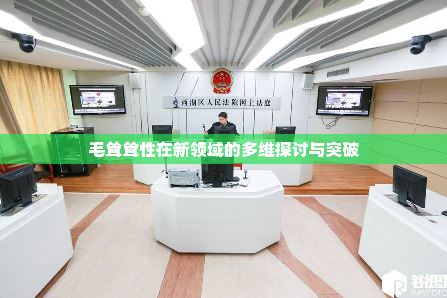 毛耸耸性在新领域的多维探讨与突破