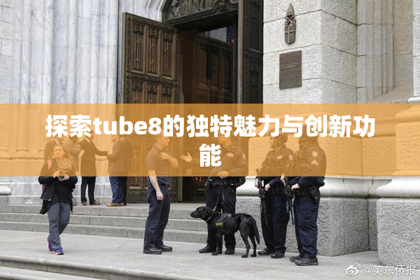 探索tube8的独特魅力与创新功能