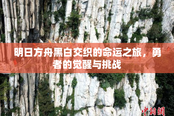 明日方舟黑白交织的命运之旅，勇者的觉醒与挑战