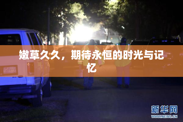 嫩草久久，期待永恒的时光与记忆