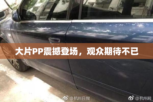 大片PP震撼登场，观众期待不已