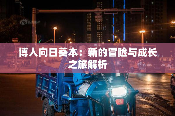 博人向日葵本：新的冒险与成长之旅解析